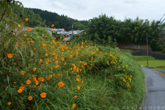 明日香村　大字立部