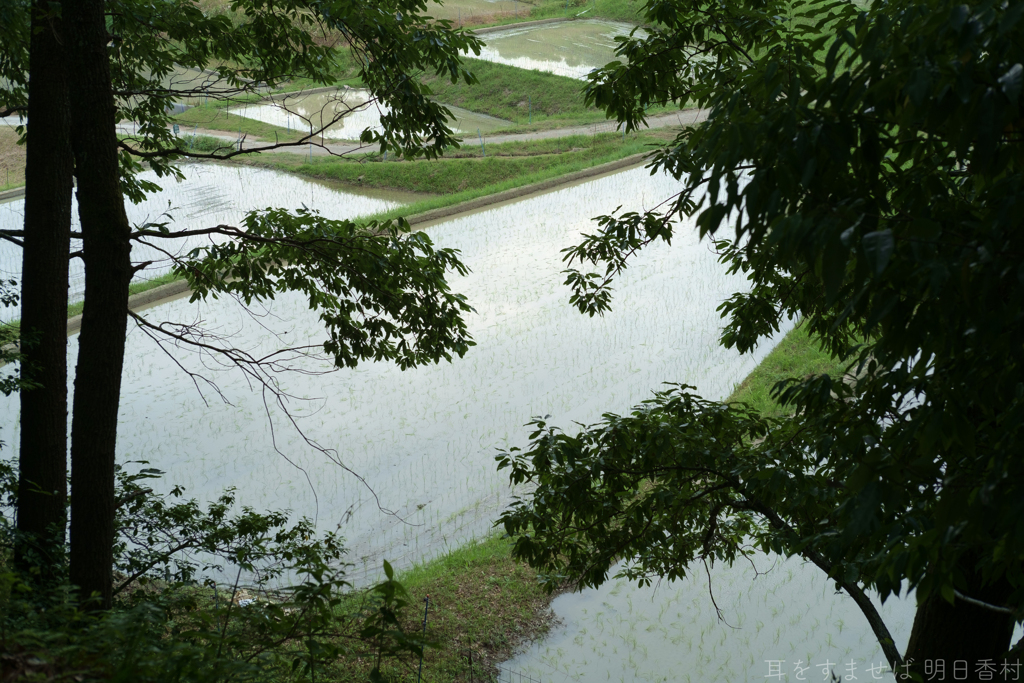 明日香村　大字稲渕