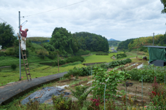 明日香村　大字立部
