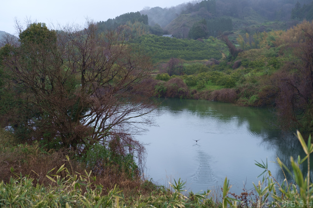 明日香村　大字平田