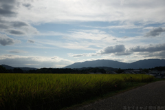 明日香村　大字橘