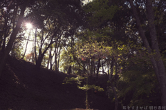 明日香村　大字豊浦