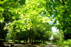 明日香村 大字豊浦 明日香村 大字豊浦