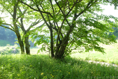 明日香村 大字豊浦 明日香村 大字豊浦