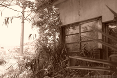 明日香村　大字真弓