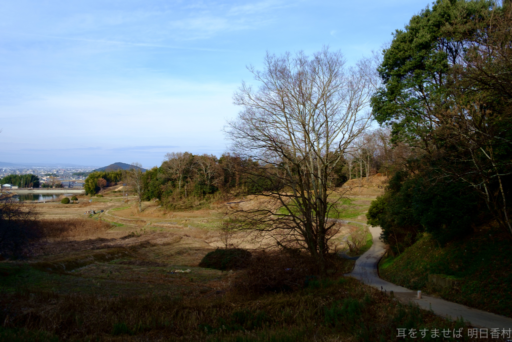 明日香村　大字豊浦（ 甘樫丘 ）