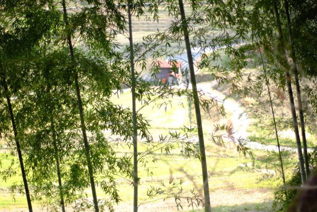 明日香村　大字祝戸