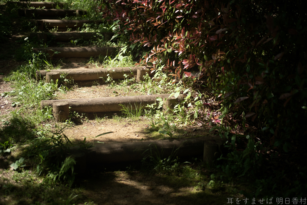 明日香村　大字豊浦