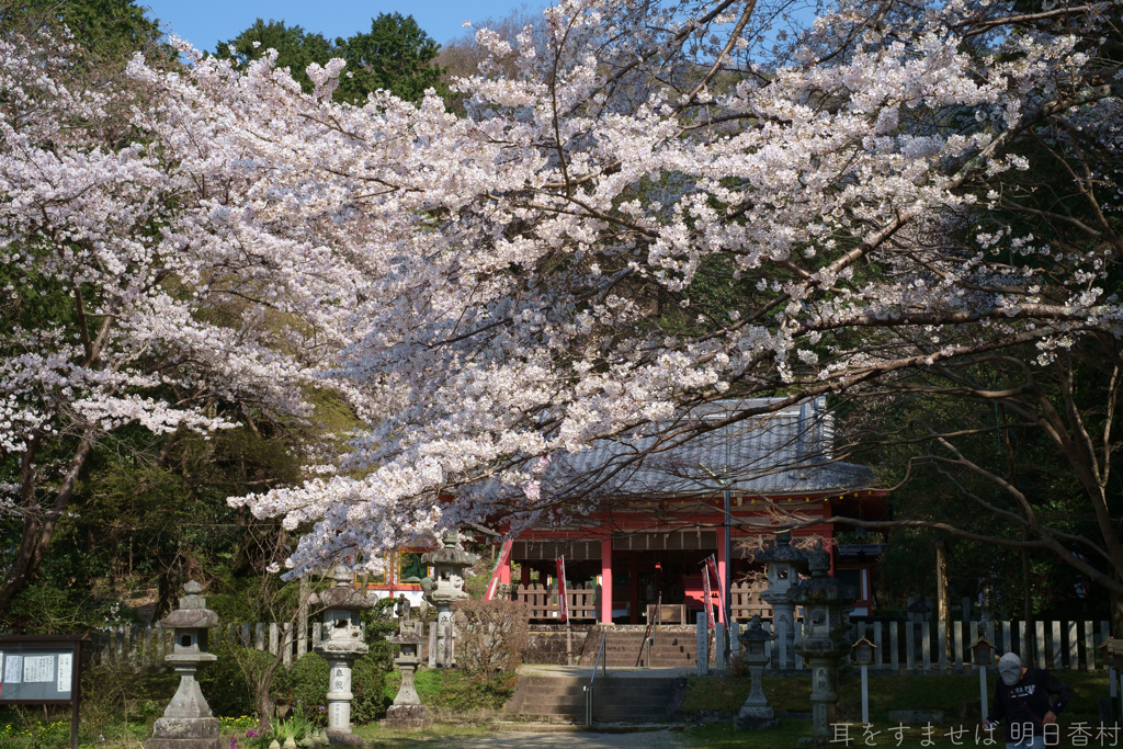 橿原市　畝火山口神社