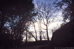明日香村 大字祝戸( 国営飛鳥歴史公園 祝戸地区 ) 明日香村 大字祝戸( 国営飛鳥歴史公園 祝戸地区 )