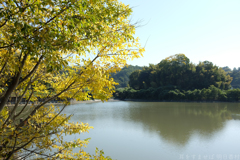 明日香村　大字豊浦