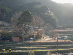 明日香村　大字稲渕