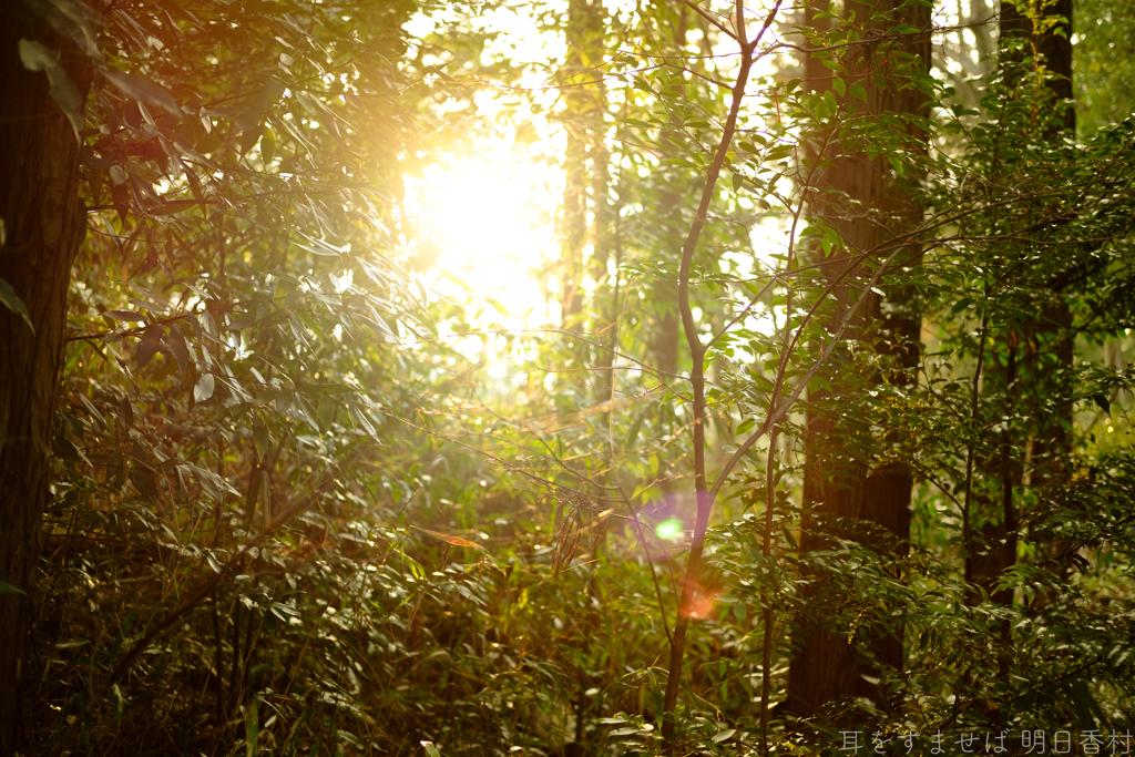 明日香村　大字祝戸