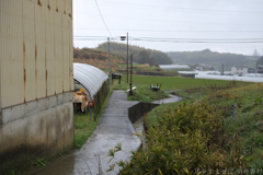 明日香村 大字平田