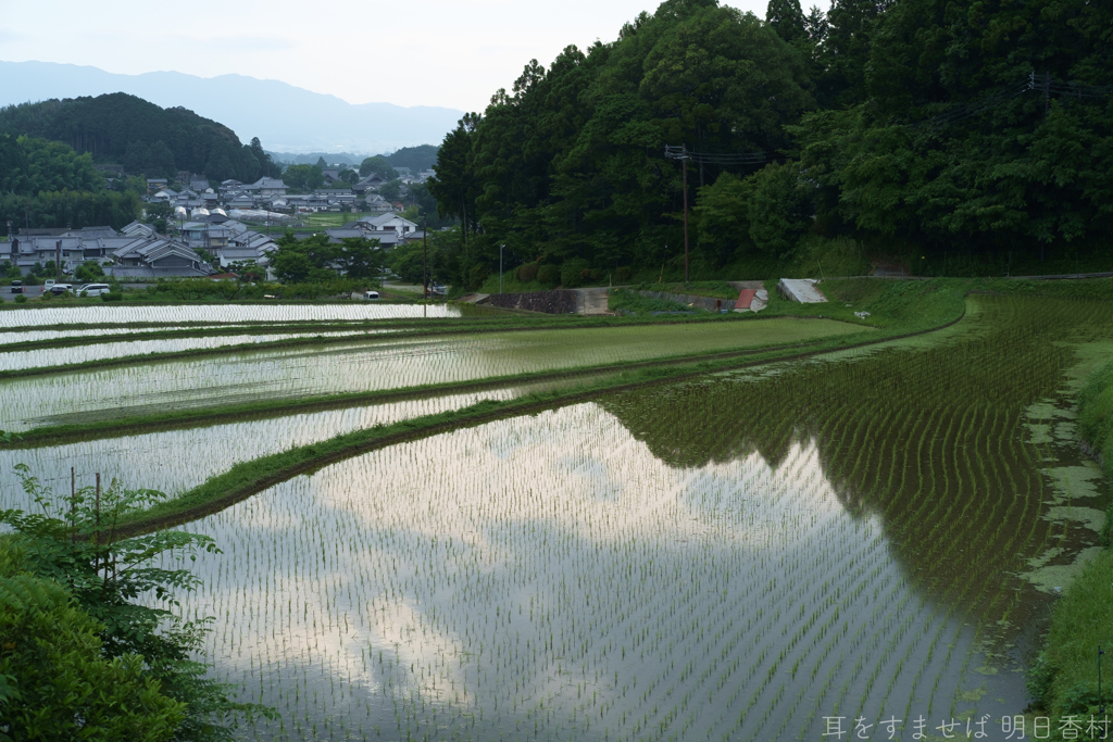 明日香村　大字島庄