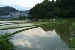 明日香村　大字島庄