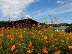 明日香村 大字御園 明日香村 大字御園