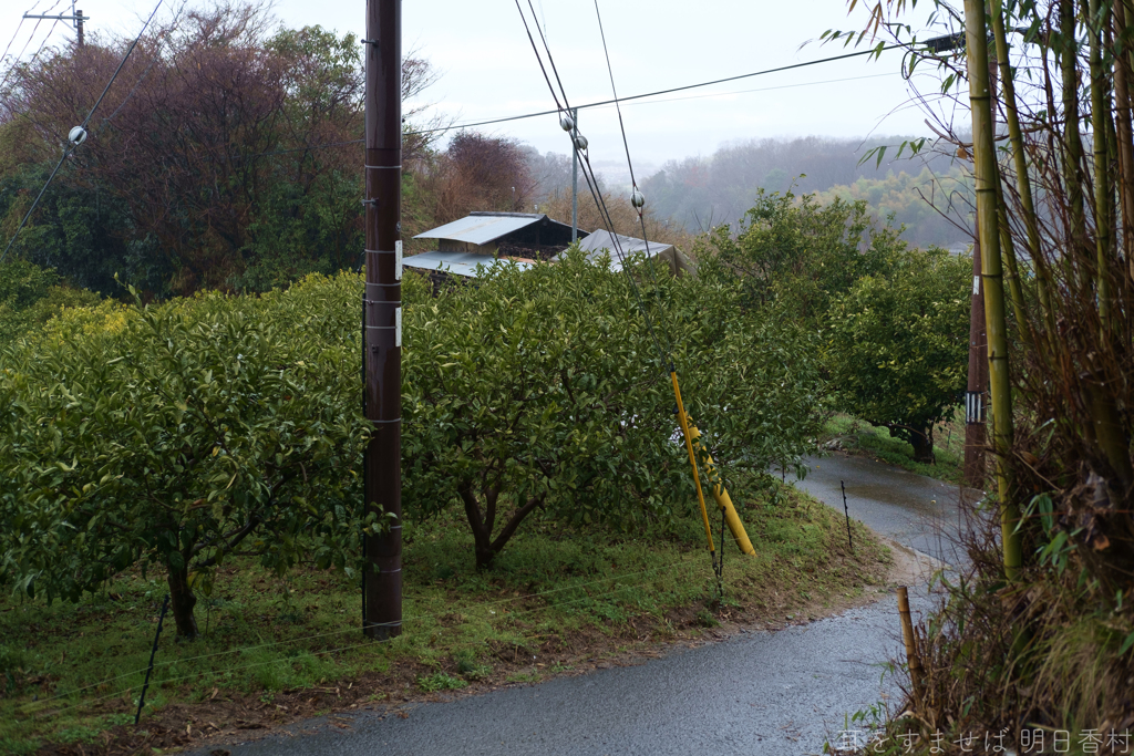 明日香村　大字平田