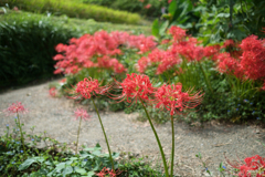 明日香村　大字稲渕
