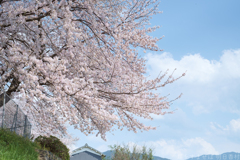 明日香村　大字川原