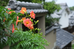 明日香村　大字檜前