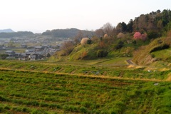 明日香村 大字立部 明日香村 大字立部
