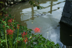 明日香村 大字豊浦 明日香村 大字豊浦