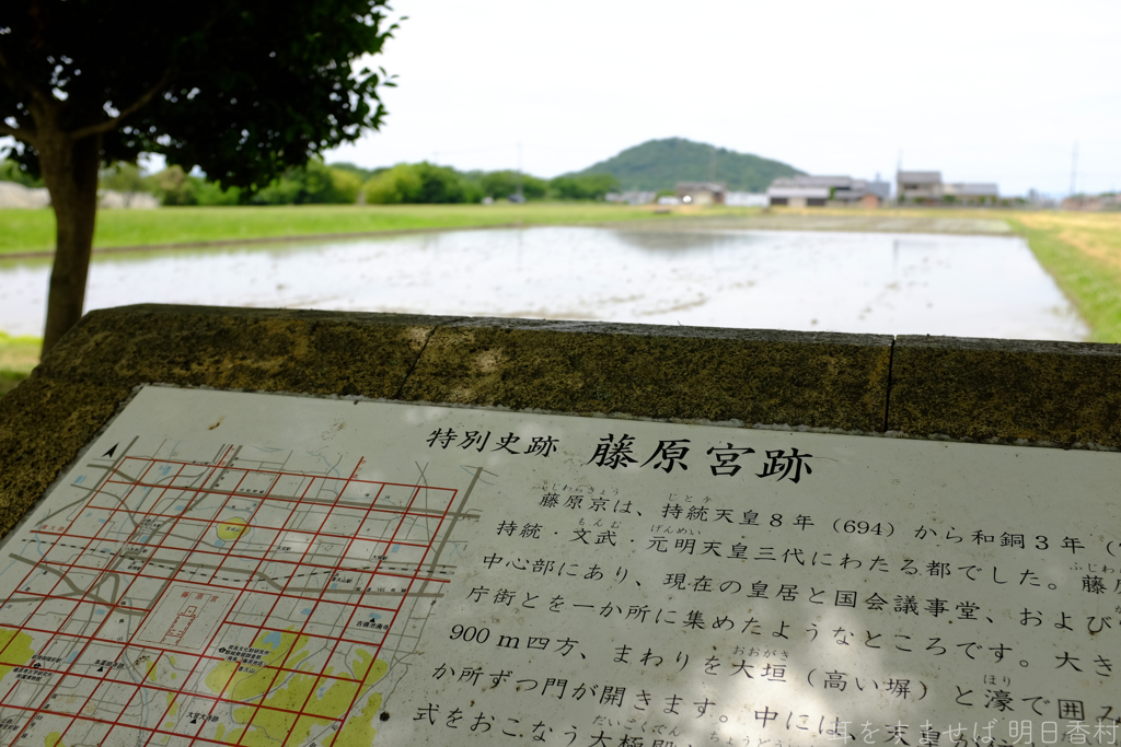 橿原市　高殿町（ 藤原宮跡 ）