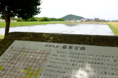 橿原市　高殿町（ 藤原宮跡 ）