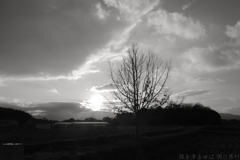 橿原市木之本町