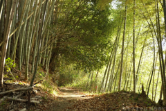 明日香村　大字川原