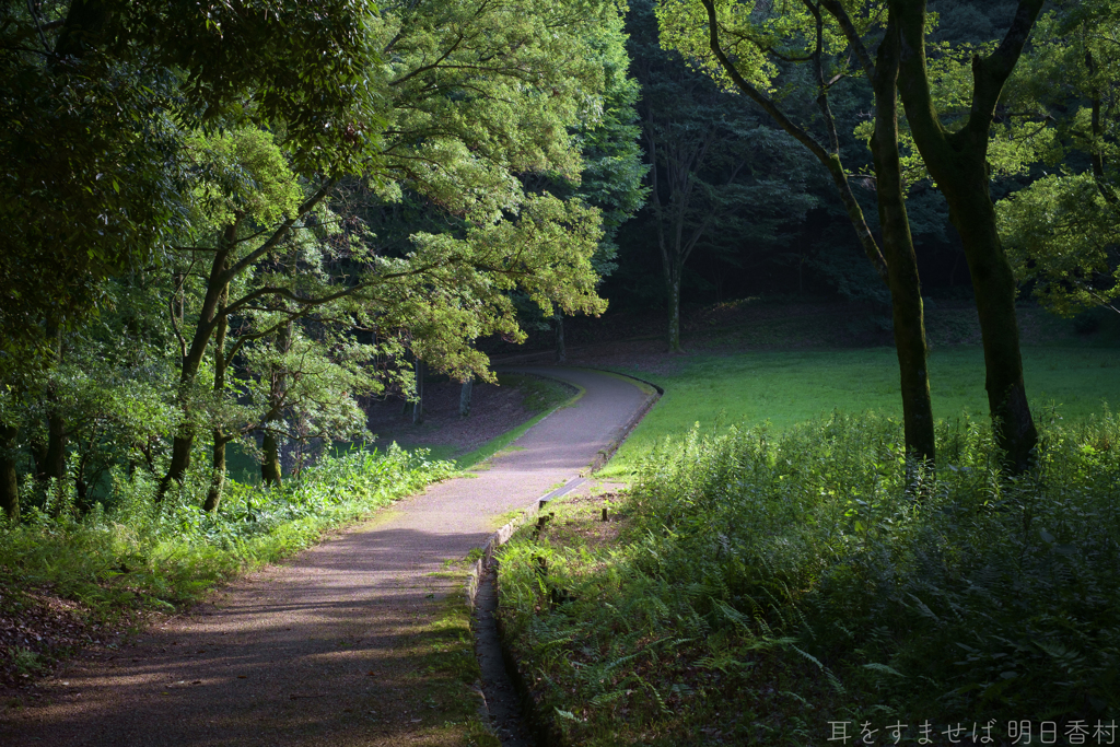明日香村　大字豊浦