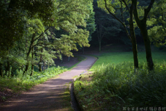 明日香村 大字豊浦 明日香村 大字豊浦