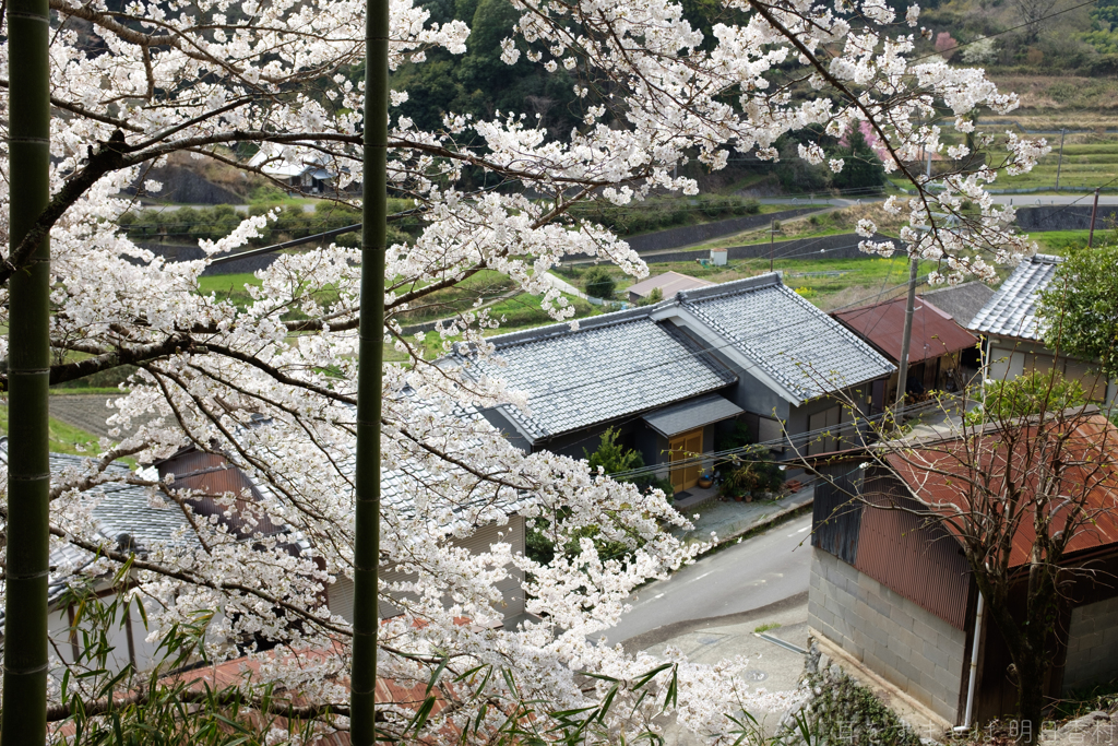 明日香村　大字稲渕