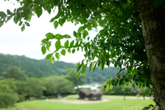明日香村　大字上居