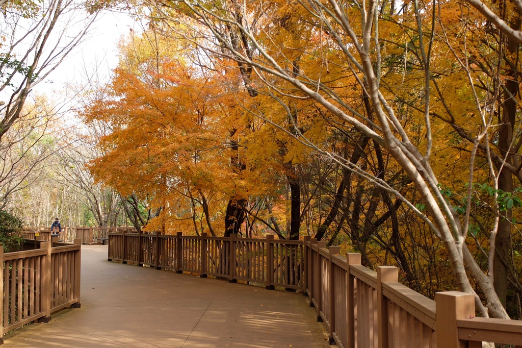 奈良県北葛城郡河合町、広陵町　馬見丘陵公園