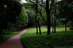 明日香村　大字川原（ 国営飛鳥公園　甘樫丘地区 ）