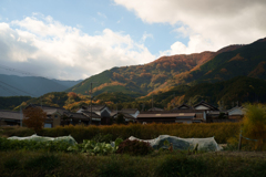 奈良県御所市楢原（ 葛城山遠望 ）