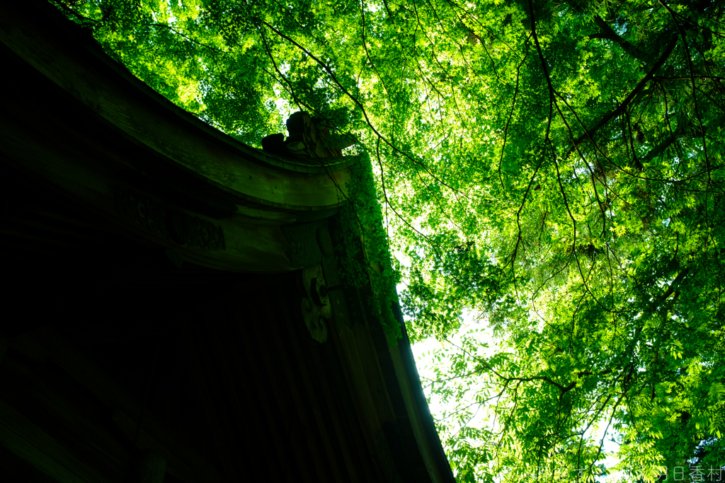 明日香村　大字稲渕　飛鳥川上坐宇須多伎比売命神社