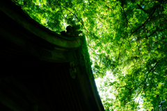 明日香村 大字稲渕 飛鳥川上坐宇須多伎比売命神社 明日香村 大字稲渕 飛鳥川上坐宇須多伎比売命神社