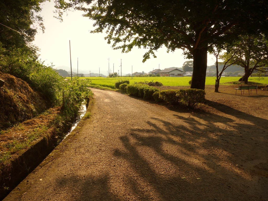 明日香村 橘 （ 橘寺 ）