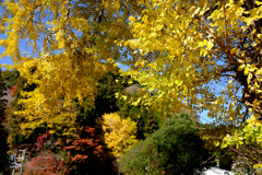 奈良県桜井市　素盞雄神社
