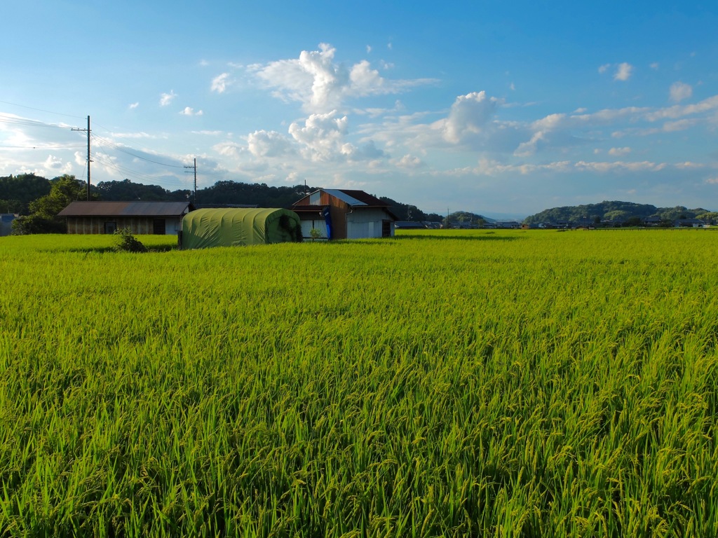 明日香村　大字岡