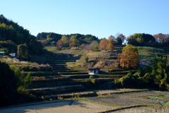 明日香村　大字稲渕