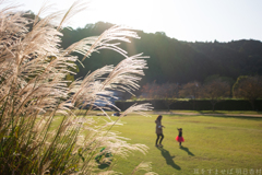 明日香村　大字島庄（ 国営飛鳥歴史公園　石舞台地区 ）