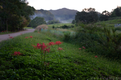 明日香村　大字稲渕