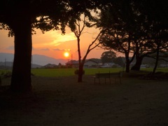 明日香村 橘 （ 橘寺 ）