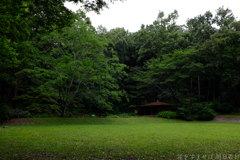 明日香村　大字川原（ 国営飛鳥公園　甘樫丘地区 ）