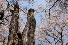 明日香村 大字稲渕 明日香村 大字稲渕