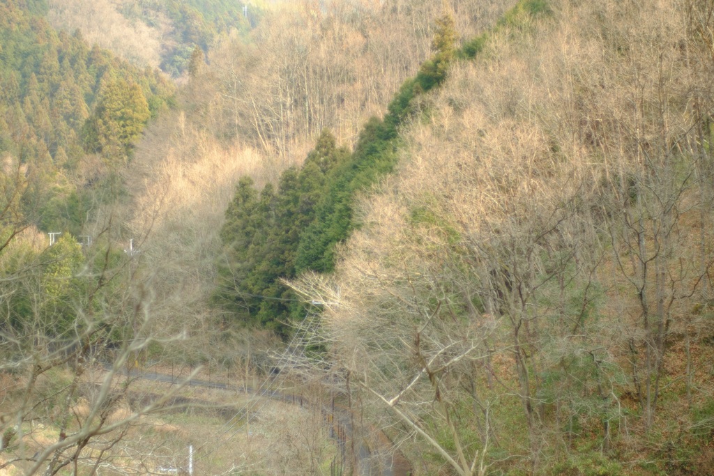 明日香村　大字栢森